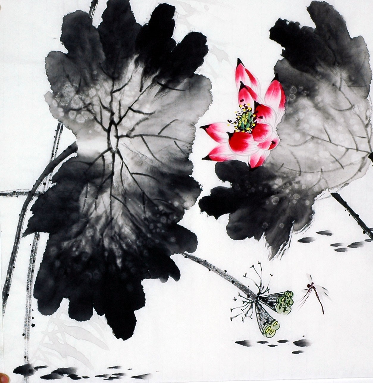 Chinese Lotus Painting - CNAG008689