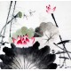 Chinese Lotus Painting - CNAG008692