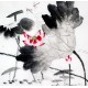 Chinese Lotus Painting - CNAG008696