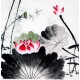 Chinese Lotus Painting - CNAG008699