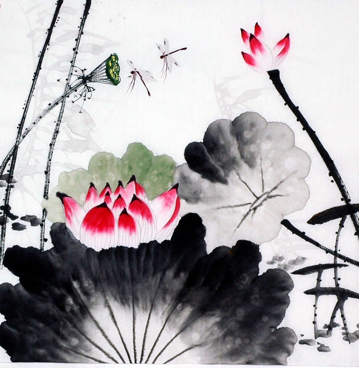 Chinese Lotus Painting - CNAG008699