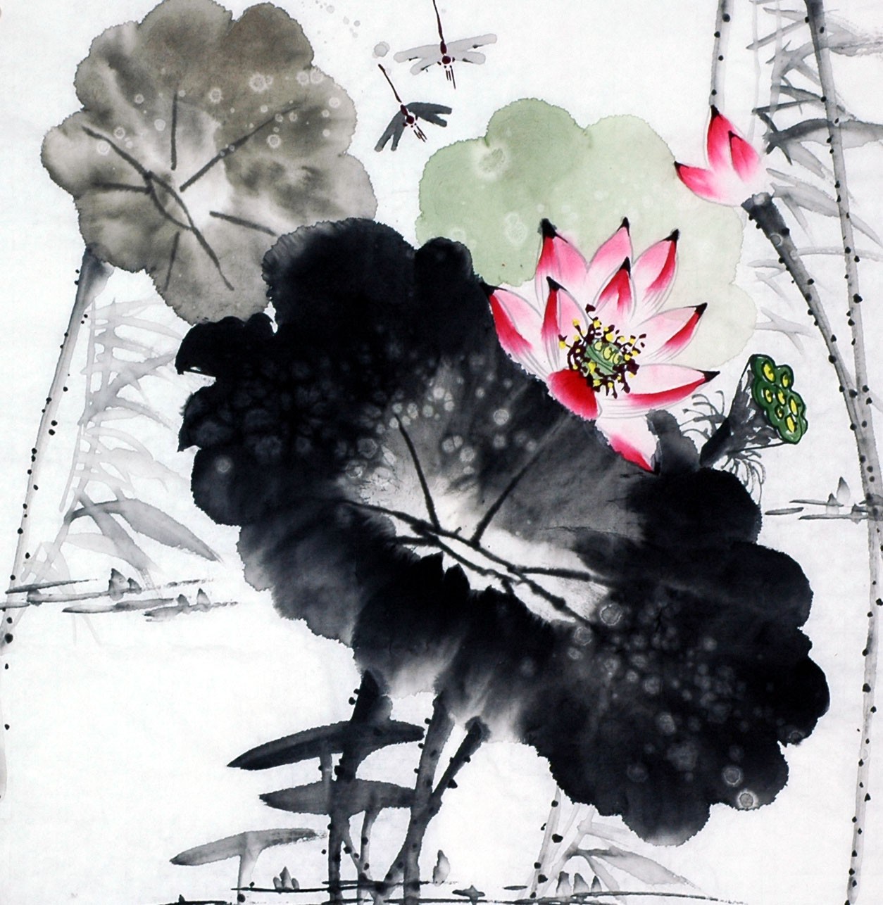 Chinese Lotus Painting - CNAG008704