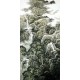 Chinese Landscape Painting - CNAG008719
