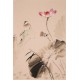 Lotus - CNAG000865