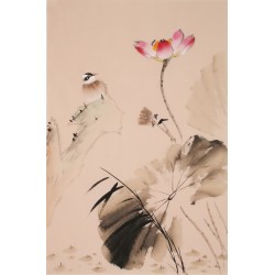 Lotus - CNAG000865