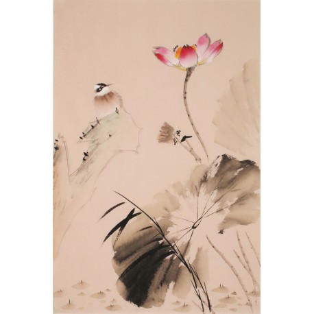 Lotus - CNAG000865