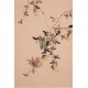 Other Birds - CNAG000874