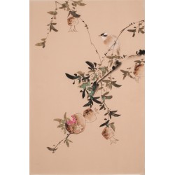 Other Birds - CNAG000874