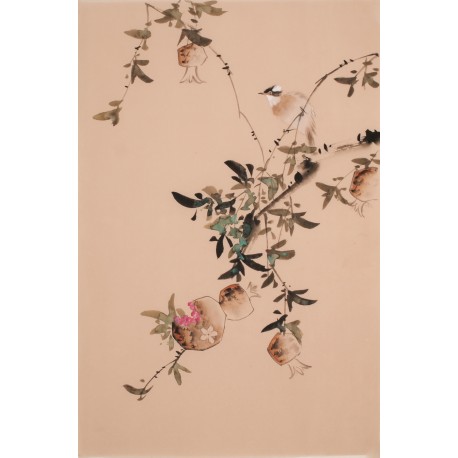 Other Birds - CNAG000874