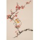 Plum - CNAG000880