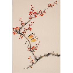 Plum - CNAG000880