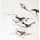 Chinese Shrimp Painting - CNAG008906