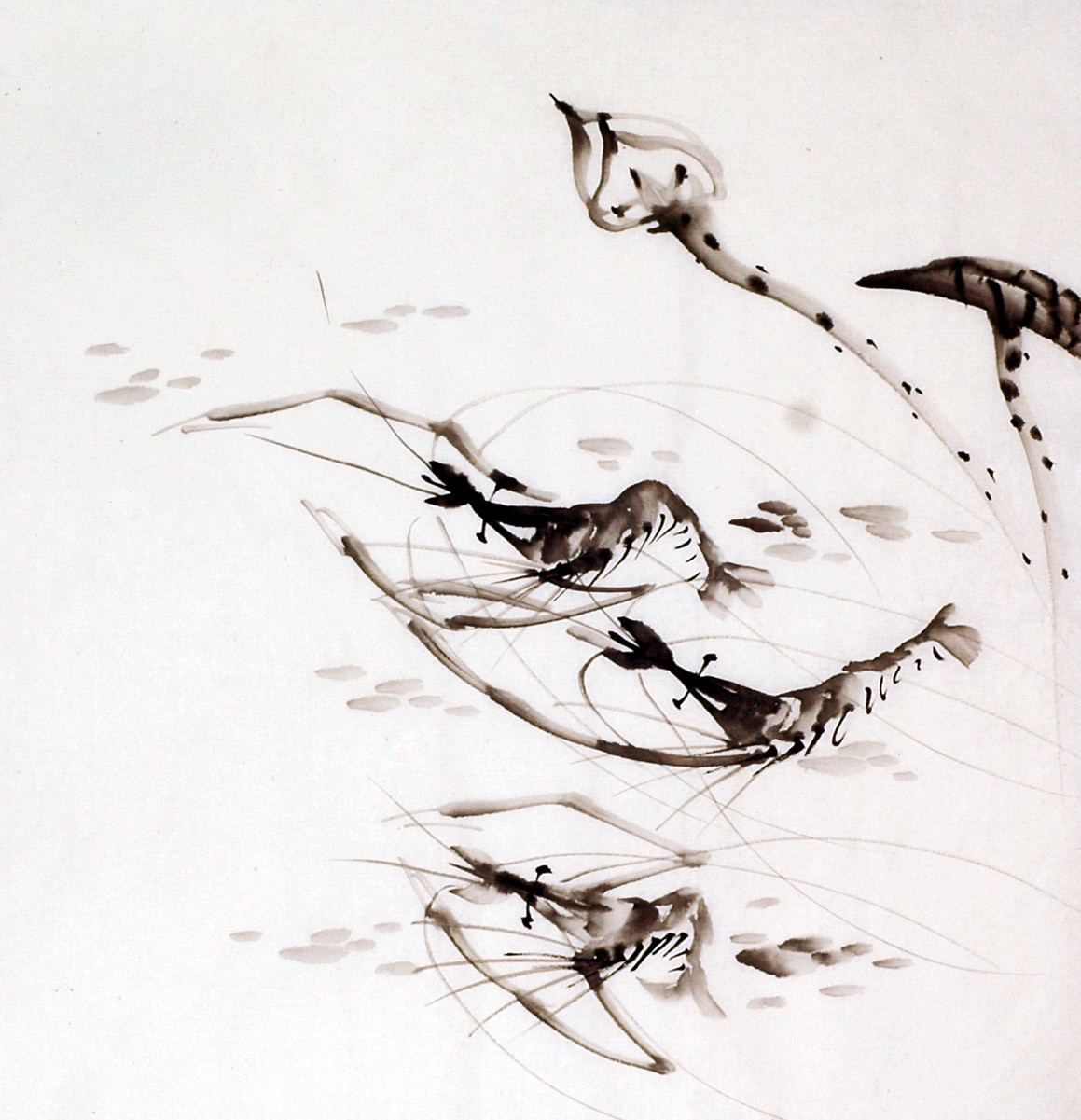 Chinese Shrimp Painting - CNAG008906
