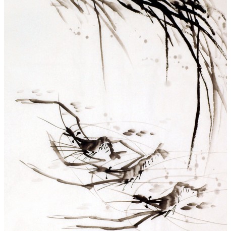 Chinese Shrimp Painting - CNAG008907
