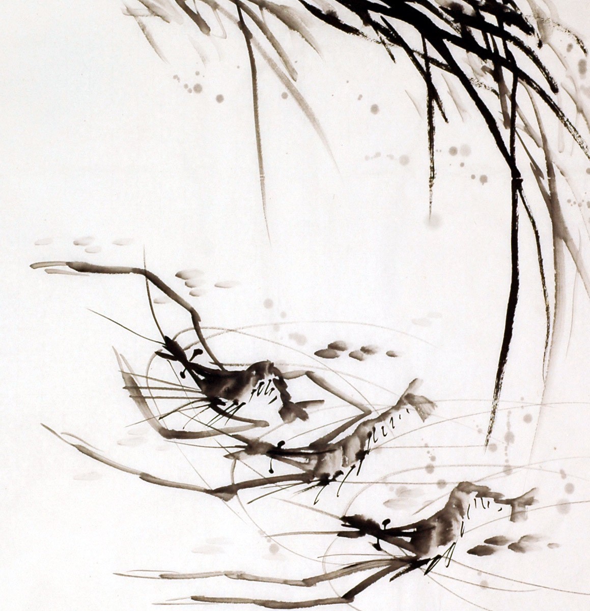 Chinese Shrimp Painting - CNAG008907