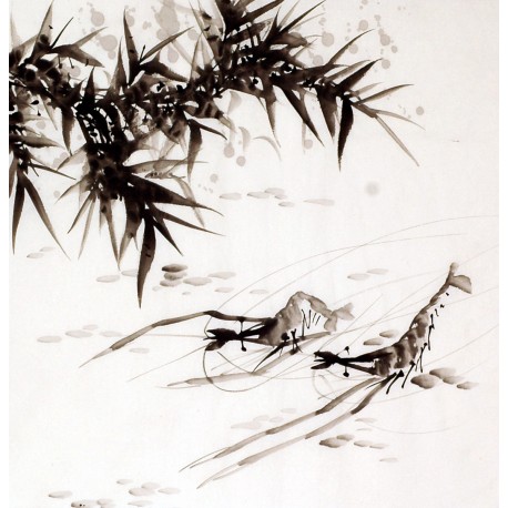 Chinese Shrimp Painting - CNAG008908