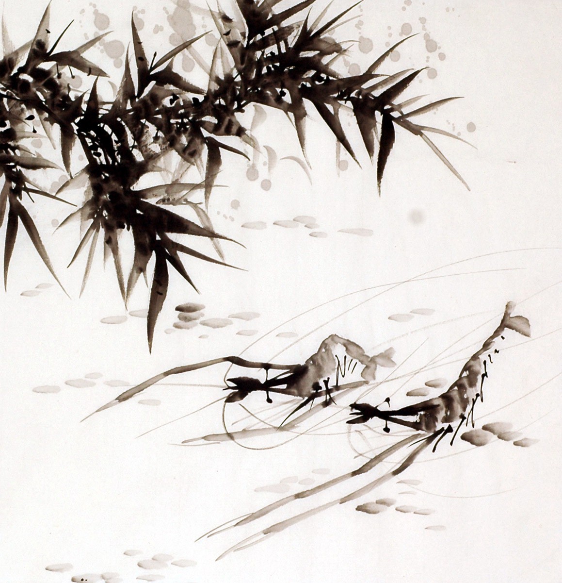 Chinese Shrimp Painting - CNAG008908