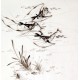 Chinese Shrimp Painting - CNAG008909