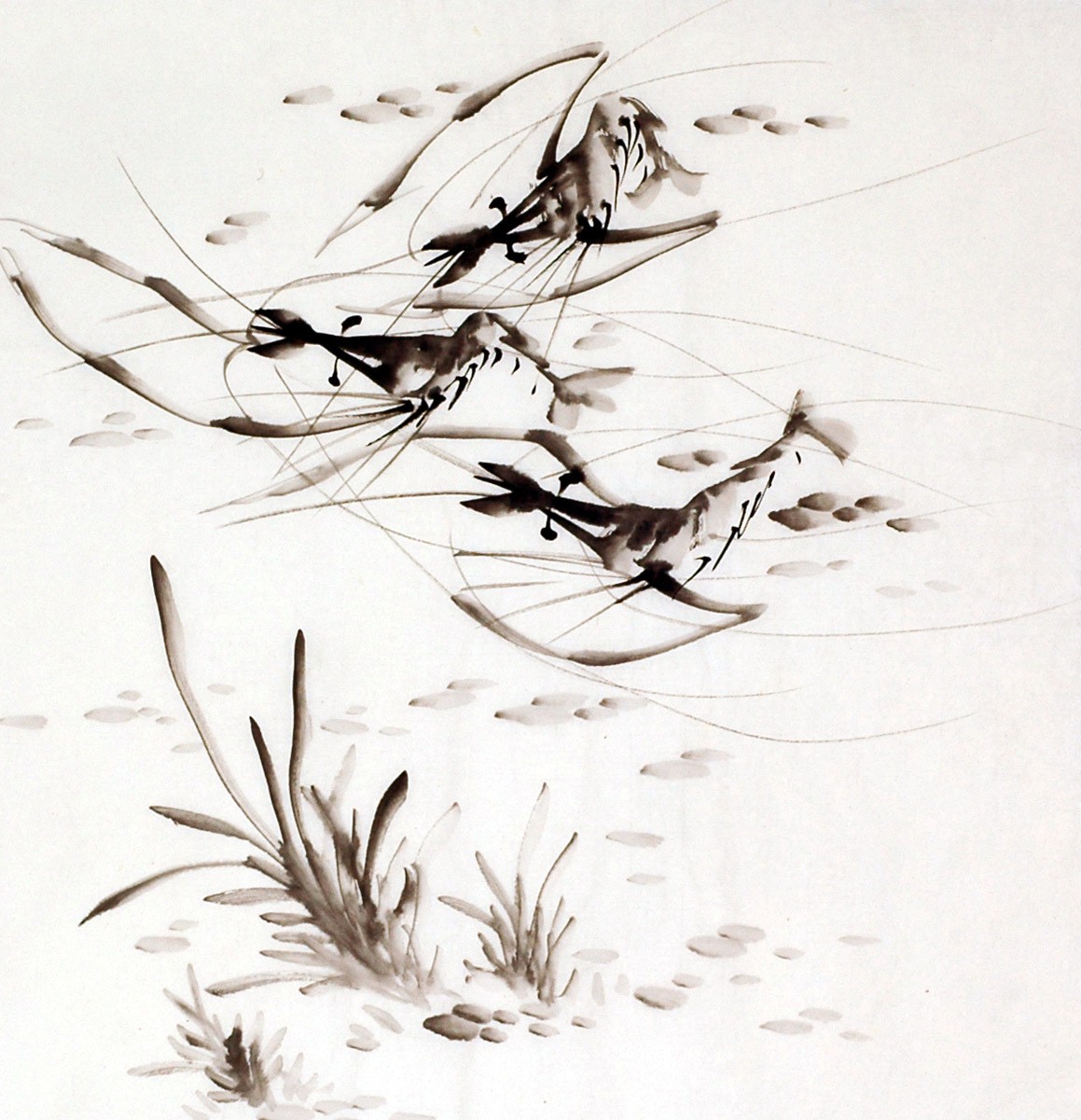 Chinese Shrimp Painting - CNAG008909
