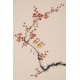 Plum - CNAG000882