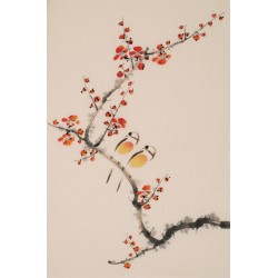 Plum - CNAG000882