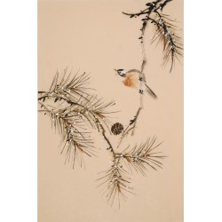Other Birds - CNAG000884