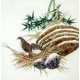 Chinese Plum Painting - CNAG008948