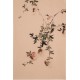 Other Birds - CNAG000886