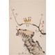 Other Birds - CNAG000889