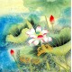 Chinese Plum Painting - CNAG008990