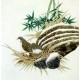 Chinese Plum Painting - CNAG008999