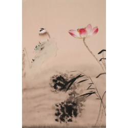 Lotus - CNAG000895