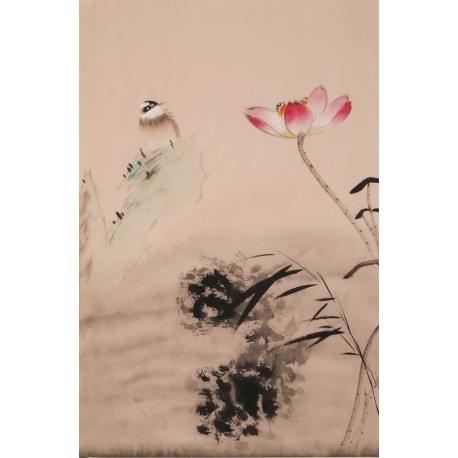 Lotus - CNAG000895