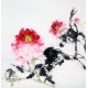 Chinese Peony Painting - CNAG009042