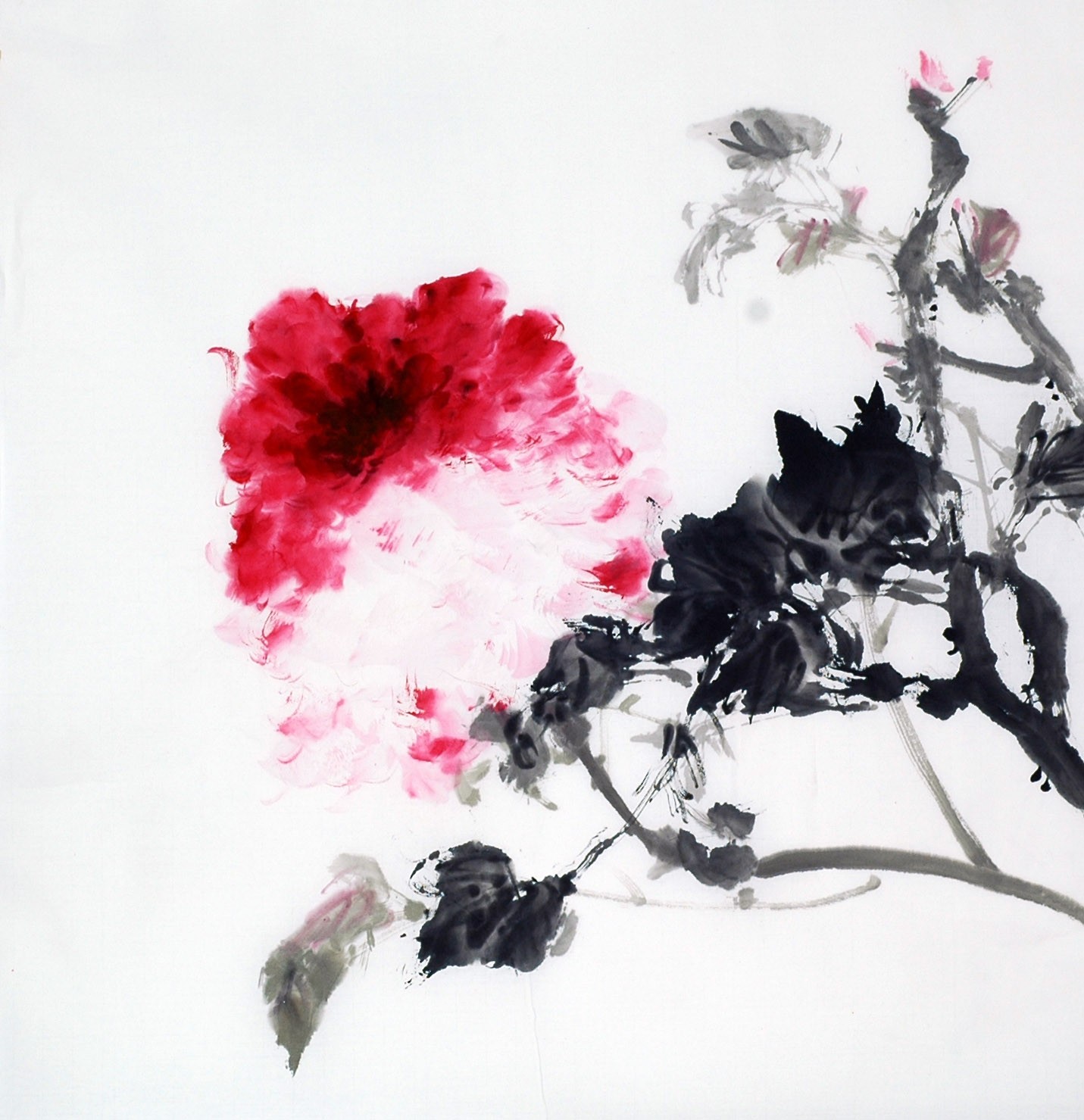 Chinese Peony Painting - CNAG009049