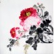Chinese Peony Painting - CNAG009050