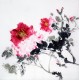 Chinese Peony Painting - CNAG009061