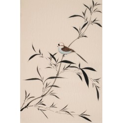 Ink Bamboo - CNAG000897