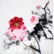 Chinese Peony Painting - CNAG009065