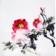 Chinese Peony Painting - CNAG009075