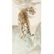 Tiger - CNAG000090