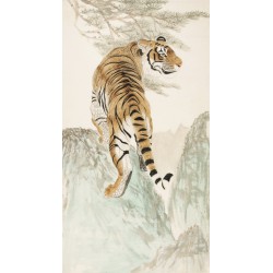 Tiger - CNAG000090