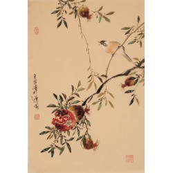 Other Birds - CNAG000905