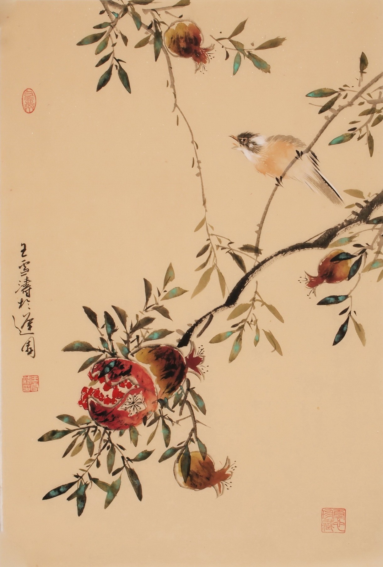 Other Birds - CNAG000905