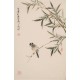 Green Bamboo - CNAG000907