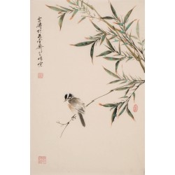 Green Bamboo - CNAG000907