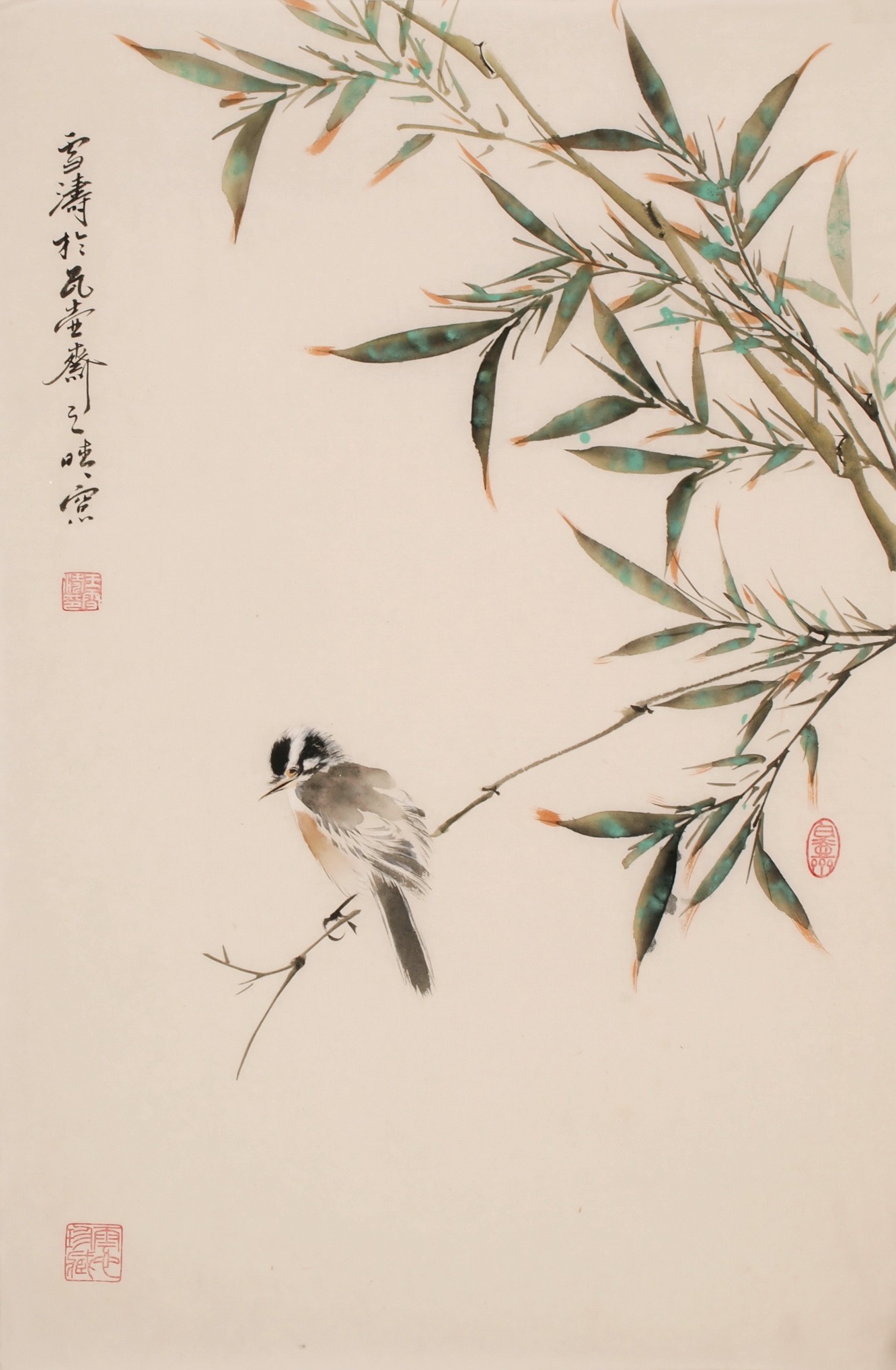 Green Bamboo - CNAG000907