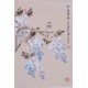 Wisteria - CNAG000909