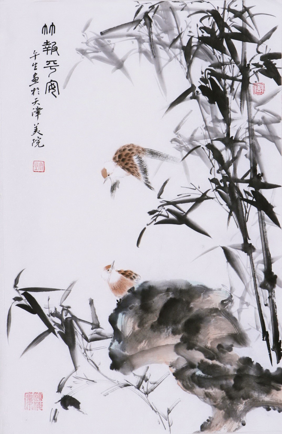 Bamboo - CNAG000911