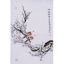 Plum - CNAG000913